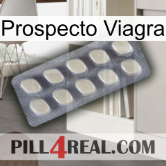 Prospecto Viagra 08